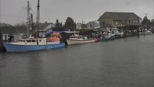 Ocean City Marlin Club