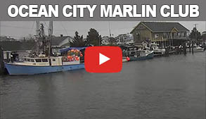 Ocean City Marlin Club Webcam Post Link