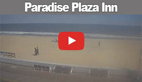 Paradise Plaza Inn Webcam Link