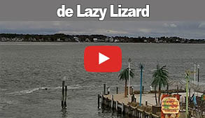de Lazy Lizard Webcam Link