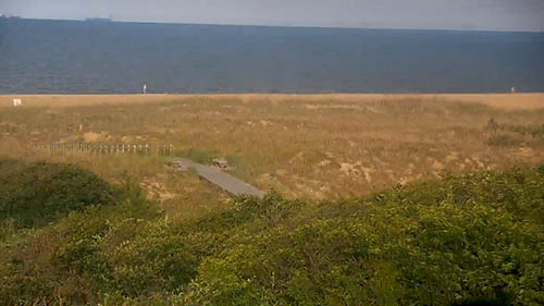 First Landing State Park Virginia Beach