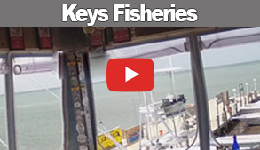 Keys Fisheries Marathon Florida Link Posts