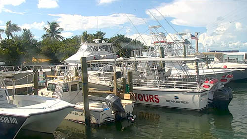 Robbie’s of Islamorada