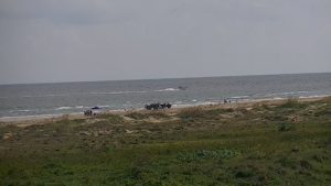 Matagorda TX Beach Cam Featured Image