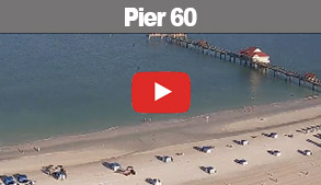 Clearwater Beach Live Cam Pier 60 Link Posts