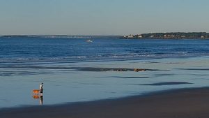 Higgins Beach Webcam