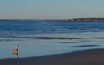 Higgins Beach Webcam