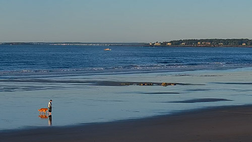 Higgins Beach Webcam