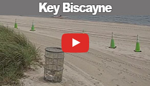 Key Biscayne Webcam Link Posts