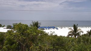 Marco Island Webcams Featured Image