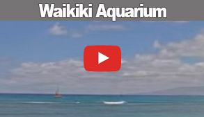 Waikiki Aquarium Link Posts