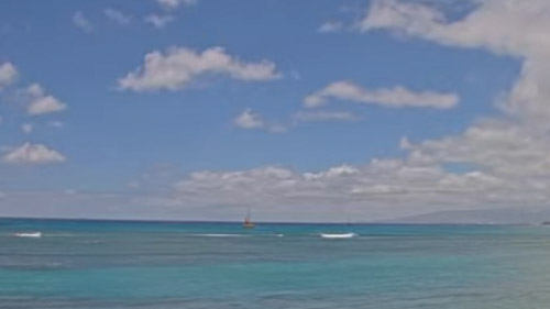 Waikiki Aquarium