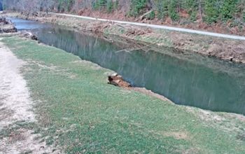 Boone North Carolina Live Cam