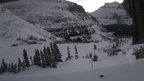 Glacier National Park Webcams