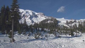Mt Rainier Paradise Webcam