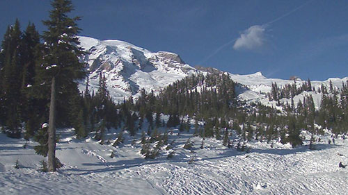 Mt Rainier Paradise Webcam