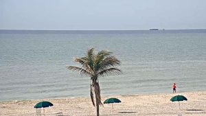 Sanibel Island Live Cam