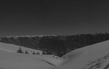 Hurricane Ridge Webcam