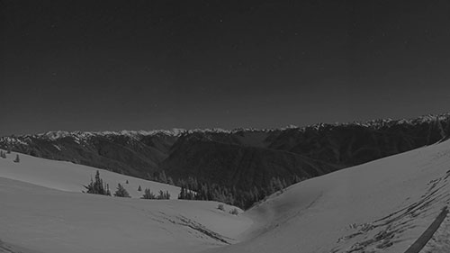 Hurricane Ridge Webcam