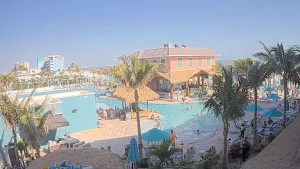 View of the vibrant Margaritaville Fort Myers Beach resort, featuring a sparkling pool surrounded by palm trees and loungers, as seen from the Fins Up Beach Club.