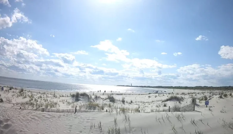 Live webcam view of Cape May, NJ beach showing sandy shoreline, gentle ocean waves, and beachgoers enjoying a sunny day with colorful umbrellas and blue skies.