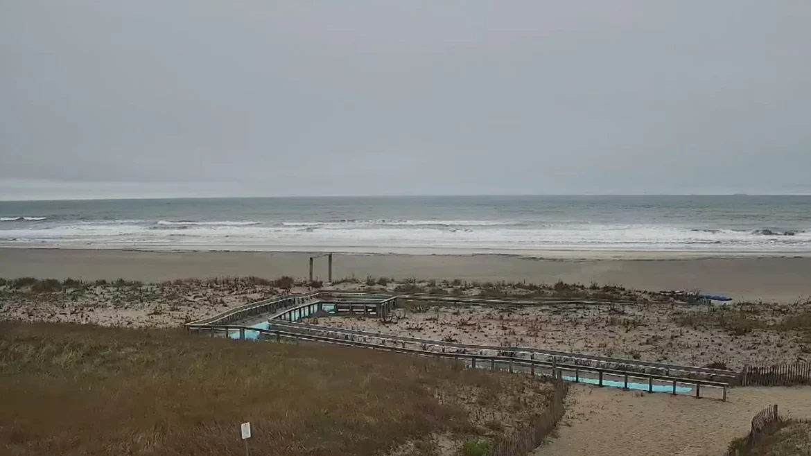 Longport Dog Beach New Jersey