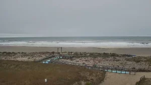 Scenic view of Longport Dog Beach showing a wide, sandy beach were dogs and owners can enjoy the sun, calm ocean waves, and a clear blue sky.