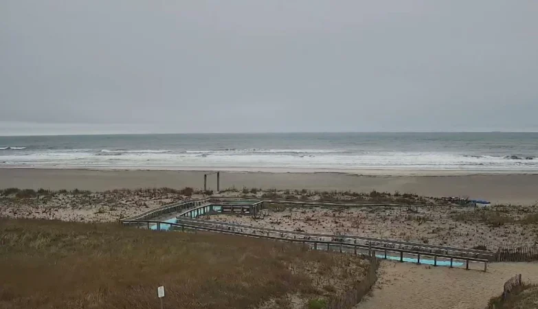 Scenic view of Longport Dog Beach showing a wide, sandy beach were dogs and owners can enjoy the sun, calm ocean waves, and a clear blue sky.