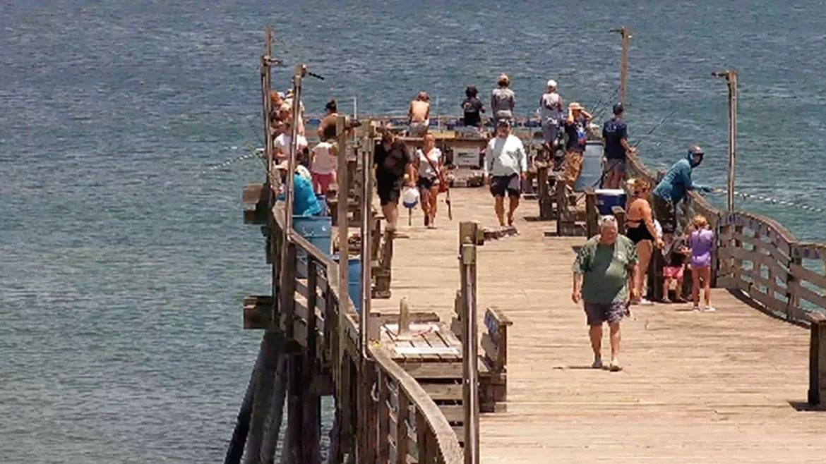 Avalon Pier Cam