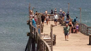 Avalon Pier Cam
