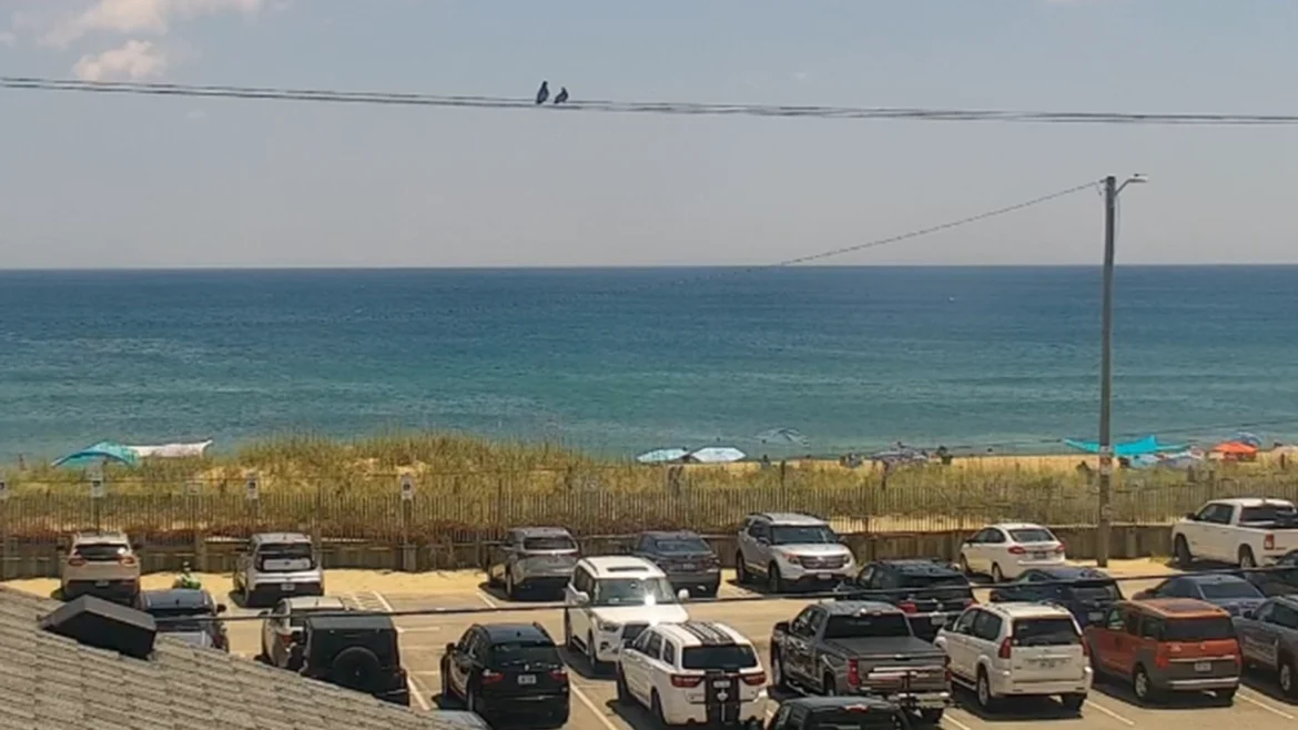 Shutters on the Banks Hotel: Kill Devil Hills