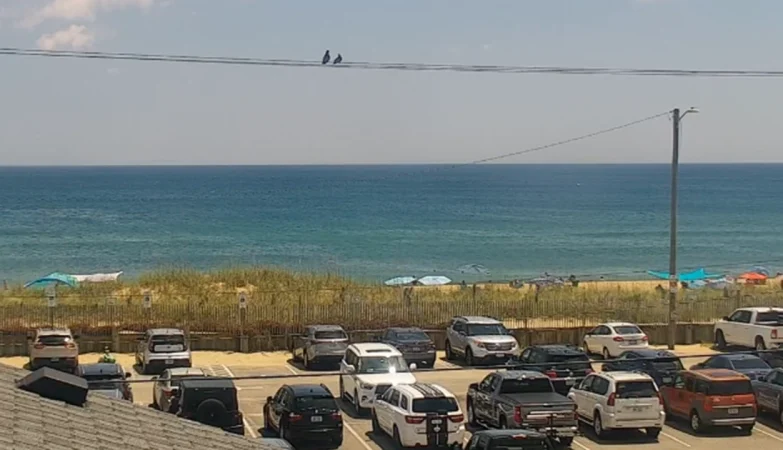 Beachfront view from Shutters on the Banks hotel in Kill Devil Hills, North Carolina, showing soft sand, ocean waves, and a clear blue sky.