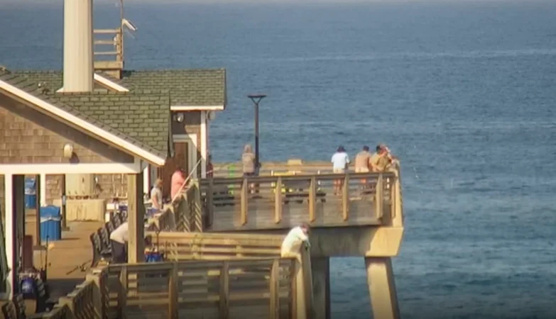 Live view from Jennette’s Pier Cam showing the oceanfront pier stretching into the Atlantic, with sandy Nags Head beach, gentle waves, and clear blue skies in the background.