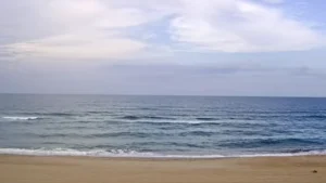 Kitty Hawk Webcam