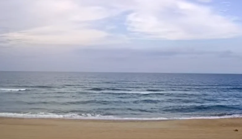 A scenic view of Kitty Hawk, NC beach with gentle ocean waves, soft sand, and clear blue sky.