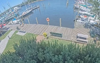 Manteo Marina live cam showing fishing boats, calm harbor waters, and waterfront activity under changing coastal skies.