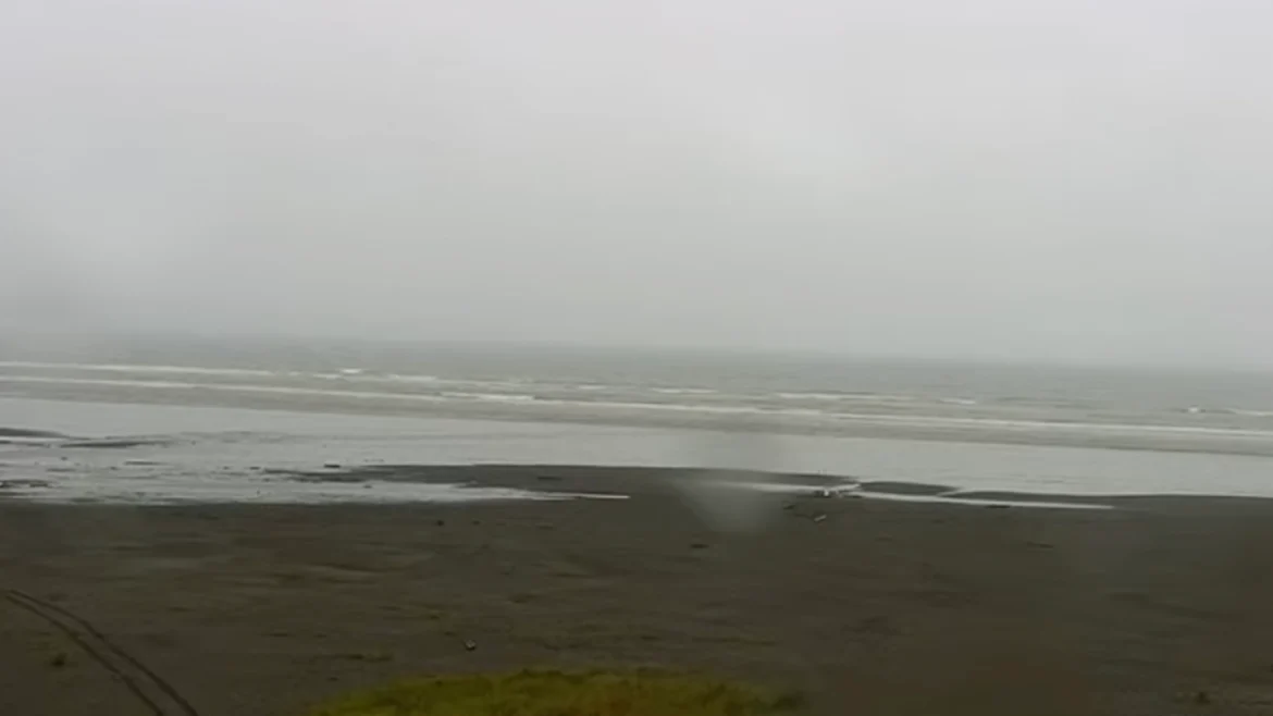 Seabrook, Washington: A Coastal Gem Worth Visiting
