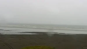 Seabrook, Washington: A Coastal Gem Worth Visiting