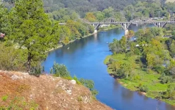 Historic Rainbow Bridge arching over the White River in Cotter, Arkansas, with calm water reflecting the concrete arches and surrounding Ozark greenery.