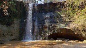 Haleburg, Alabama