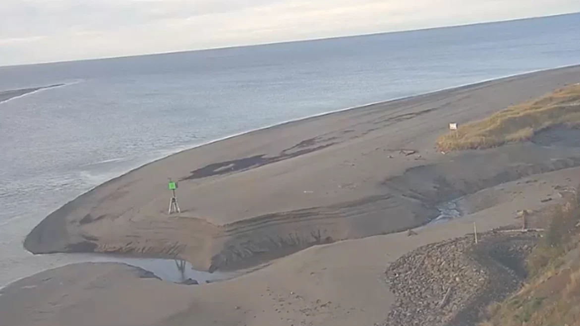 Kenai Alaska Live Cam