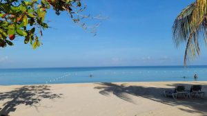 Live webcam view from Coco La Palm Seaside Resort in Negril, Jamaica, showing turquoise Caribbean waters, white sandy beach, swaying palm trees, and guests relaxing under bright tropical sunshine along Seven Mile Beach.