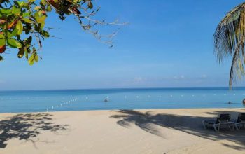 Live webcam view from Coco La Palm Seaside Resort in Negril, Jamaica, showing turquoise Caribbean waters, white sandy beach, swaying palm trees, and guests relaxing under bright tropical sunshine along Seven Mile Beach.