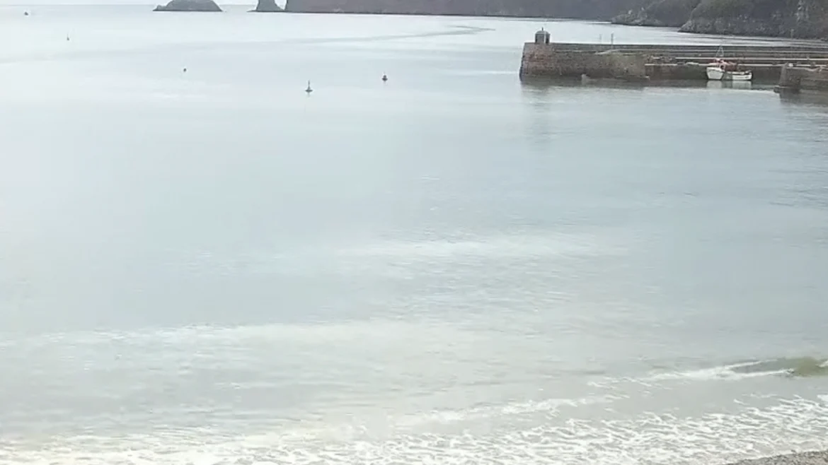 Saundersfoot Beach Webcam
