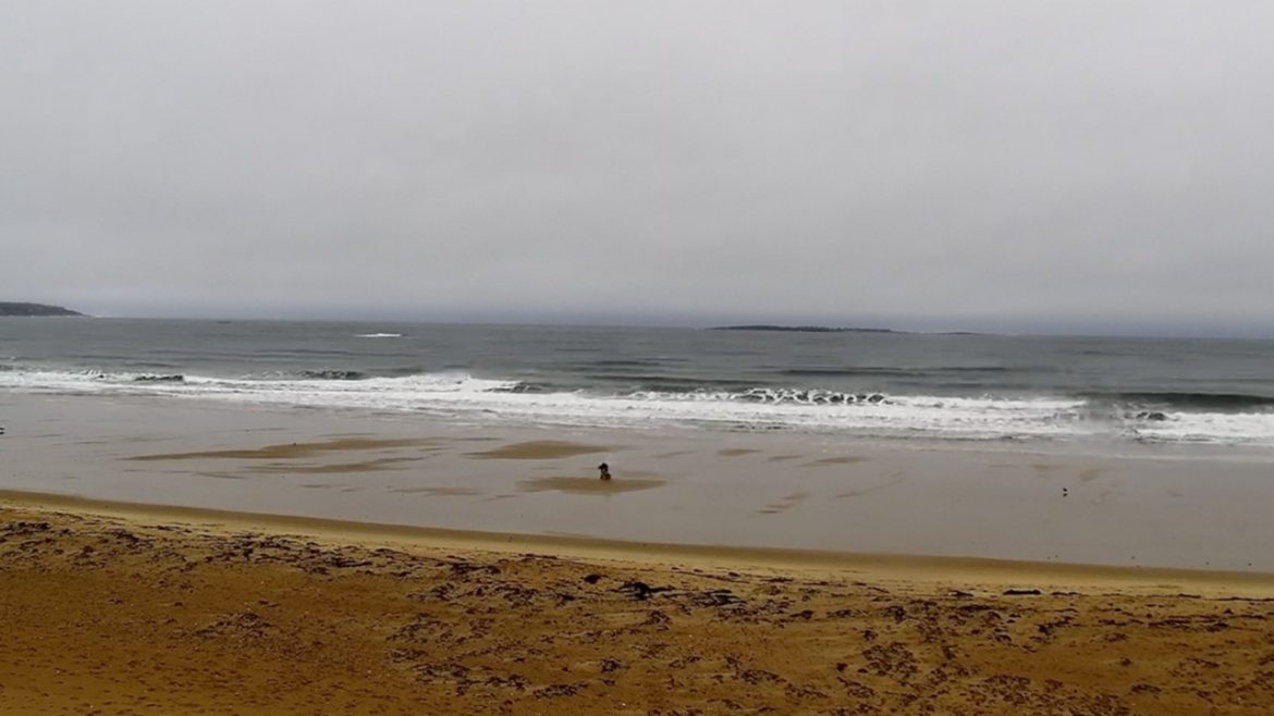 Abellona Inn | Old Orchard  Beach