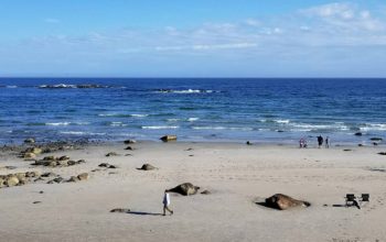 Beautiful Oceanfront Views from Lafayette's Oceanfront Resort.