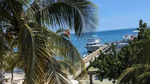 Live Webcam View showing the crystal Blue Waters in front of Ocean Frontiers Dive Shop.