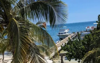 Live Webcam View showing the crystal Blue Waters in front of Ocean Frontiers Dive Shop.