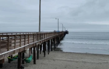 Live Webcam of Avila Beach near the Pier