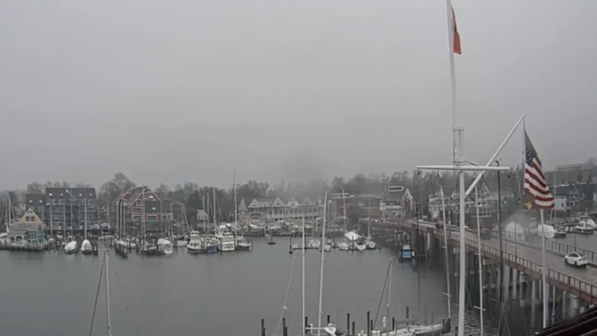 Spa Creek Marina Live Cam